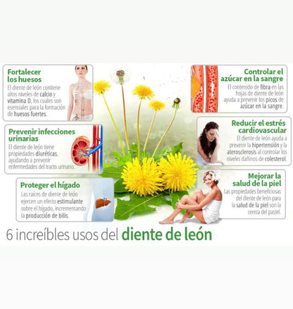 Diente De Leon 300mg 60 Cápsulas