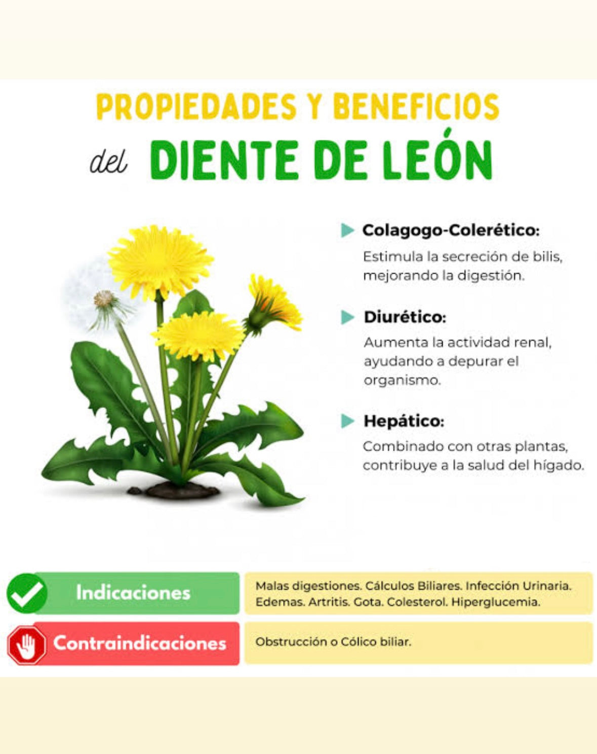 Diente De Leon 300mg 60 Cápsulas