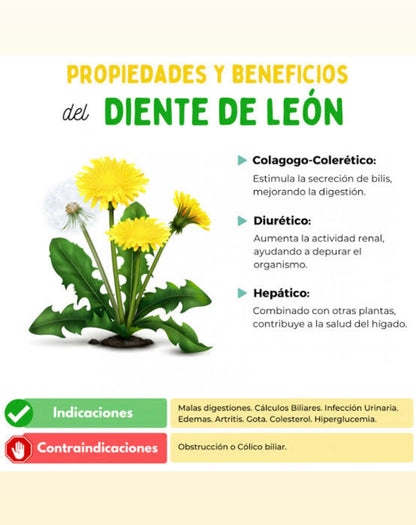 Diente De Leon 300mg 60 Cápsulas