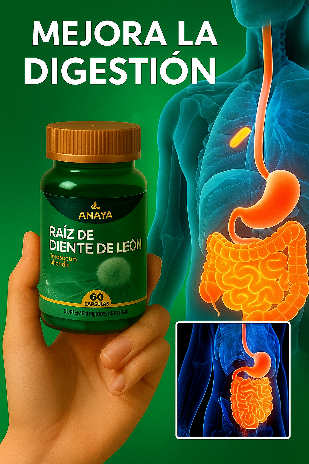 Diente De Leon 300mg 60 Cápsulas
