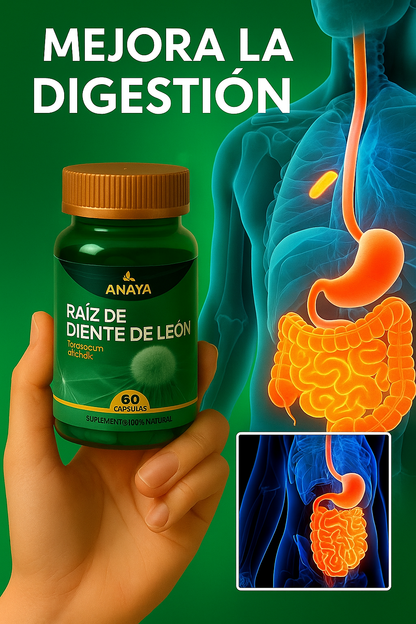 Diente De Leon 300mg 60 Cápsulas